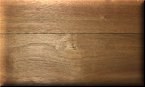 Peruvian Walnut
