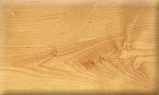 Hard Maple